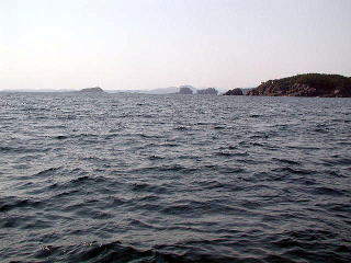 黒崎沖です。写真ではわかりませんが、風が強いです。